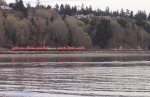 BNSF 4 axle classics pulling the empties to Everett